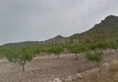 Parcel·la urbanitzable en venda a la España, Aledo, ref.: TR328599 foto