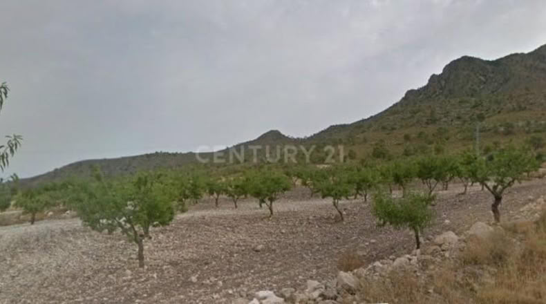 Murcia - Aledo - 99m2