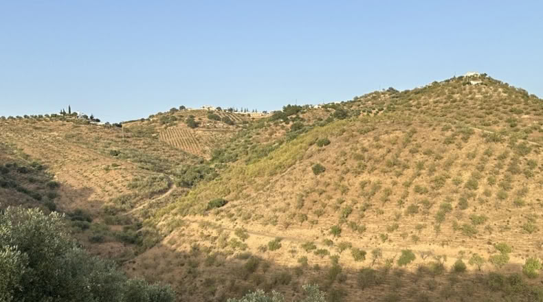 Malaga - Colmenar - 9800m2