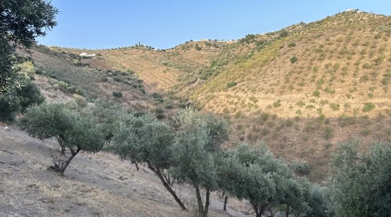 Malaga - Colmenar - 9800m2