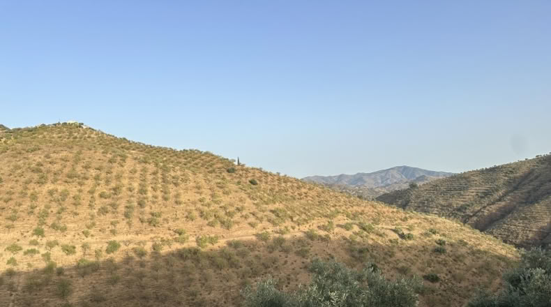 Malaga - Colmenar - 9800m2