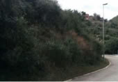 Sòl urbà en venda a la España, Esparreguera, ref.: TR134475 foto