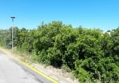 Suelo urbano en venta en la España, Calafell, ref: TR355207 foto
