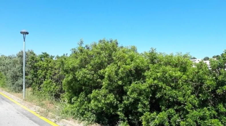 Tarragona - Calafell - 677m2
