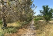 Terreny no urbanitzable en venda a la España, Nuevo Baztán, ref.: TR345880 foto
