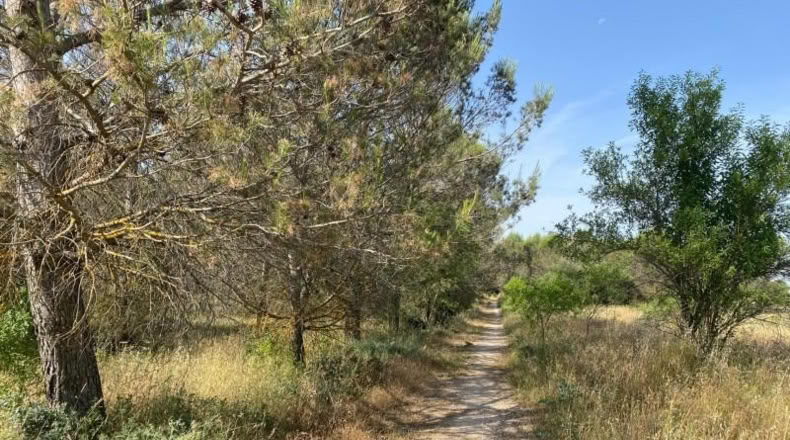 Navarra - Elizondo - 10250m2