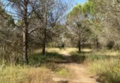 Terreny no urbanitzable en venda a la España, Nuevo Baztán, ref.: TR345880 foto