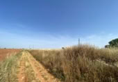 Terreny no urbanitzable en venda a la España, Nuevo Baztán, ref.: TR345880 foto