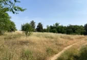 Terreny no urbanitzable en venda a la España, Nuevo Baztán, ref.: TR345880 foto