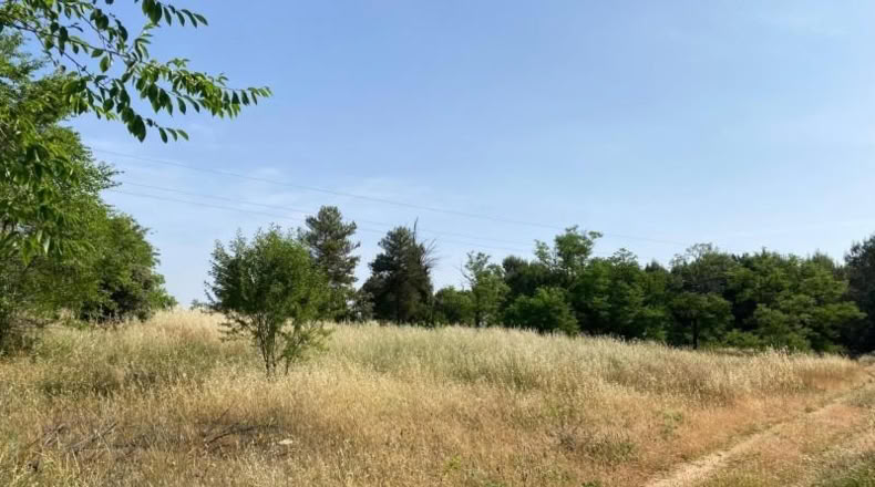 Navarra - Elizondo - 10250m2