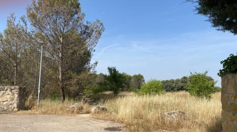 Navarra - Elizondo - 10250m2