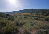 Xalet independent amb terreny en venda a la España, Vall-de-roures, ref.: TR358947 foto