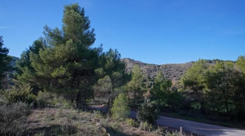 Teruel - Valderrobres - 12m2