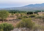 Terreny no urbanitzable en venda a la España, Iecla, ref.: TR127197 foto