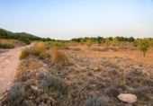 Terreny no urbanitzable en venda a la España, Iecla, ref.: TR127197 foto