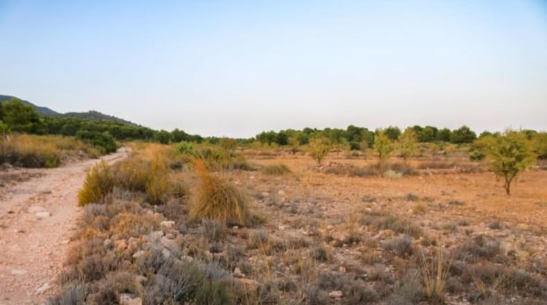 Múrcia - Yecla - 15496m2