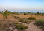 Terreny no urbanitzable en venda a la España, Iecla, ref.: TR127197 foto