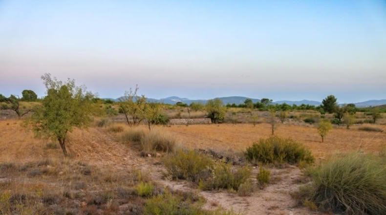 Múrcia - Yecla - 15496m2