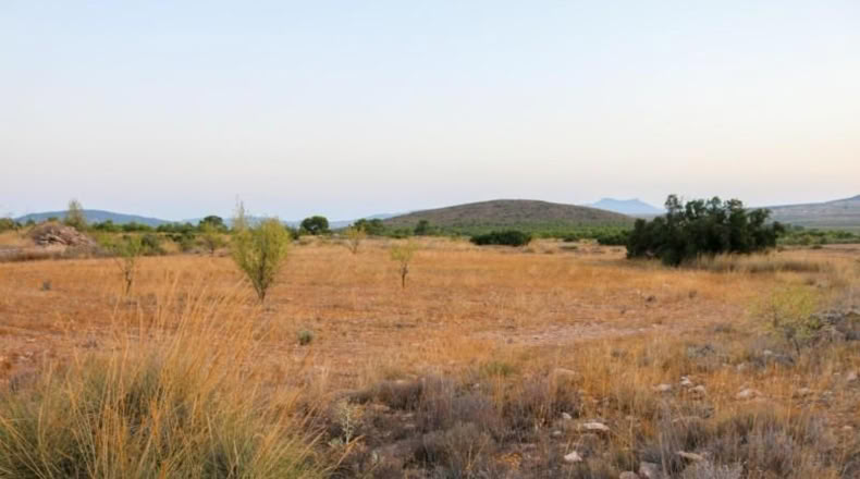 Múrcia - Yecla - 15496m2