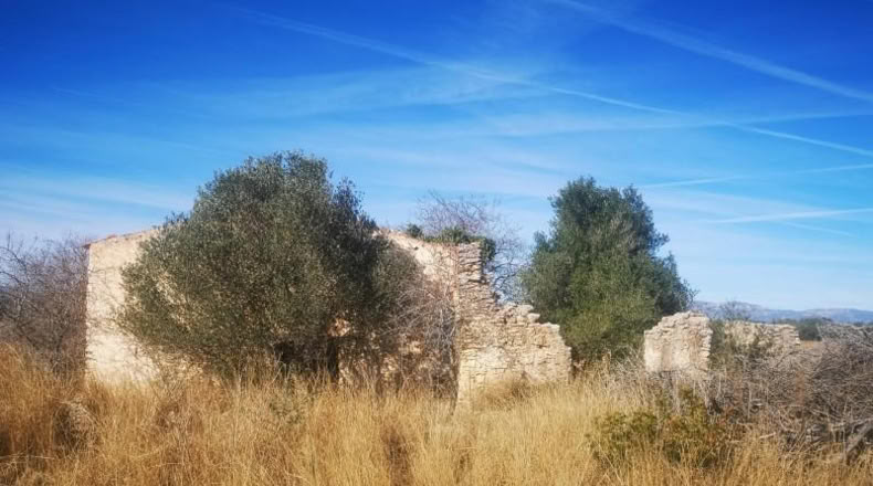 Castellón - Traiguera - 38708m2