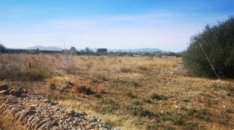 Castellón - Traiguera - 38708m2