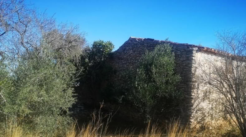 Castellón - Traiguera - 38708m2