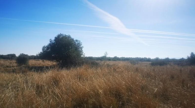 Castellón - Traiguera - 38708m2