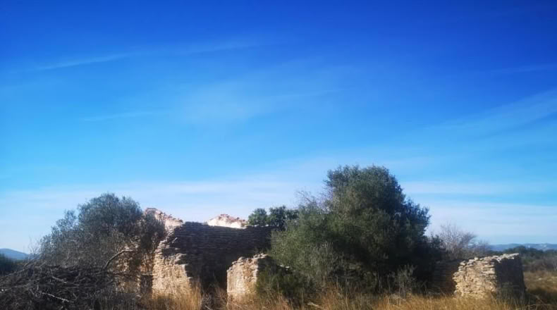 Castellón - Traiguera - 38708m2