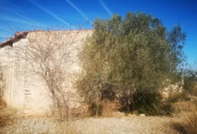 Foto 8