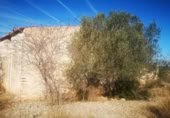 Terreno no urbanizable en venta en la España, Traiguera, ref: TR127300 foto