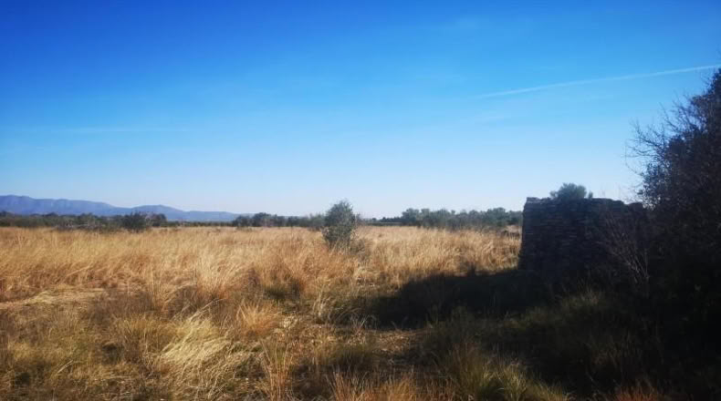 Castellón - Traiguera - 38708m2