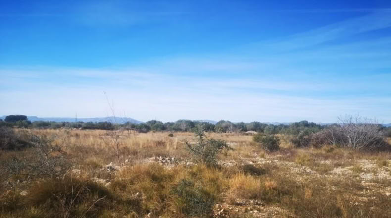 Castellón - Traiguera - 38708m2