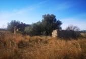 Terreno no urbanizable en venta en la España, Traiguera, ref: TR127300 foto