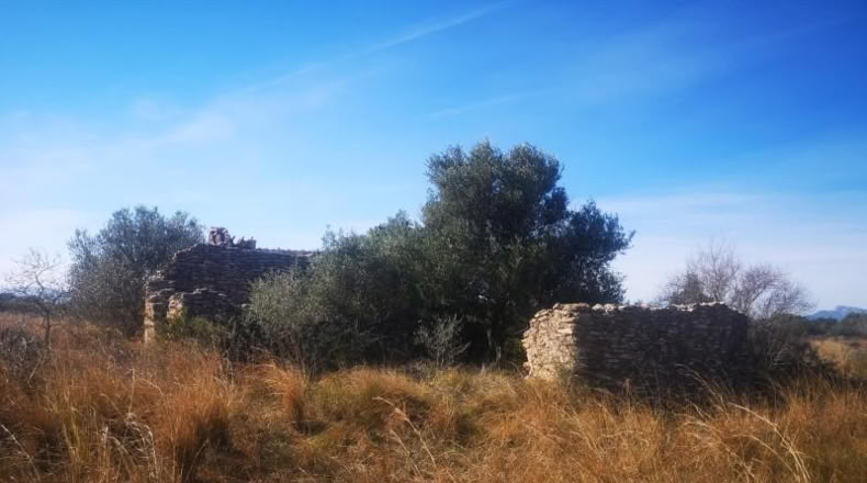 Castellón - Traiguera - 38708m2