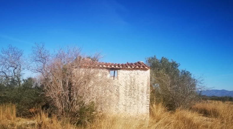 Castellón - Traiguera - 38708m2