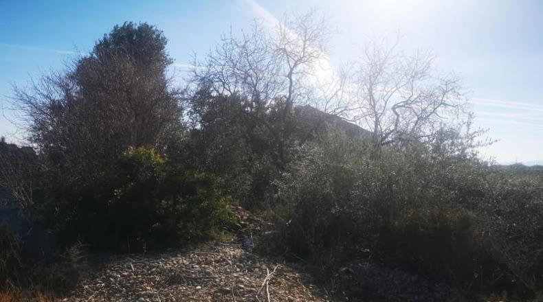 Castellón - Traiguera - 38708m2