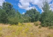 Terreny no urbanitzable en venda a la España, Sotosalbos, ref.: TR168670 foto