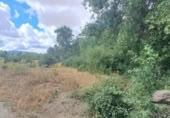 Terreny no urbanitzable en venda a la España, Sotosalbos, ref.: TR168670 foto