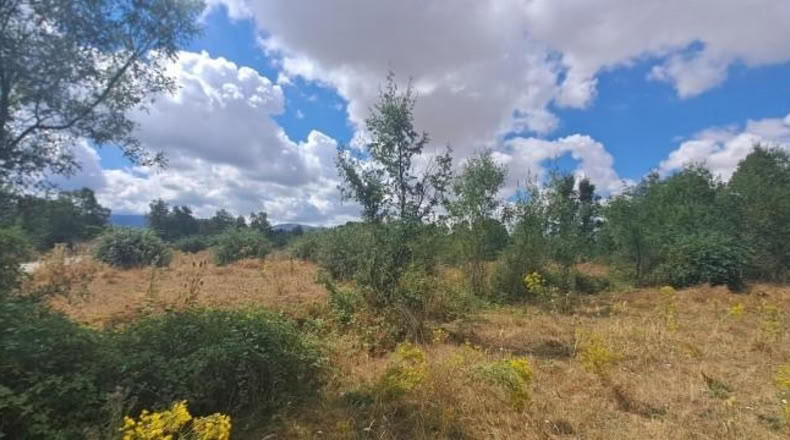 Segovia - Sotosalbos - 7677m2