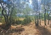 Terreny no urbanitzable en venda a la España, Sotosalbos, ref.: TR168670 foto
