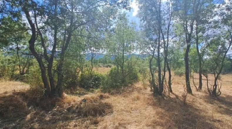 Segovia - Sotosalbos - 7677m2