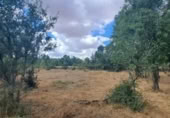 Terreny no urbanitzable en venda a la España, Sotosalbos, ref.: TR168670 foto
