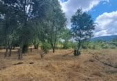 Terreny no urbanitzable en venda a la España, Sotosalbos, ref.: TR168670 foto