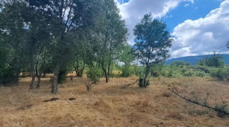 Segovia - Sotosalbos - 7677m2