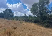 Terreny no urbanitzable en venda a la España, Sotosalbos, ref.: TR168670 foto
