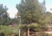Suelo urbano en venta en la España, Calafell, ref: TR174833 foto