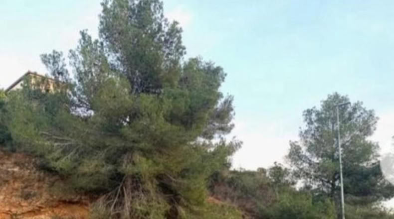 Tarragona - Calafell - 605m2