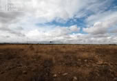 Non-developable land for sale on España, Tomelloso, ref: TR175167 photo