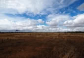 Non-developable land for sale on España, Tomelloso, ref: TR175167 photo