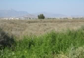 Parcel·la urbanitzable en venda a la España, Asp, ref.: TR306151 foto